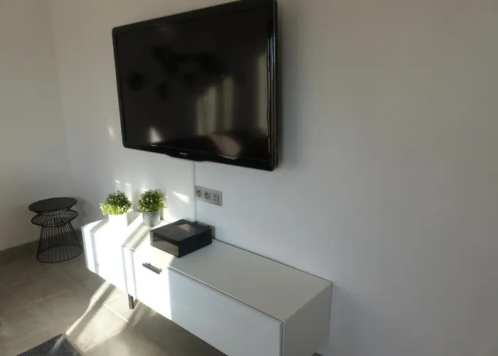 Le 31 *